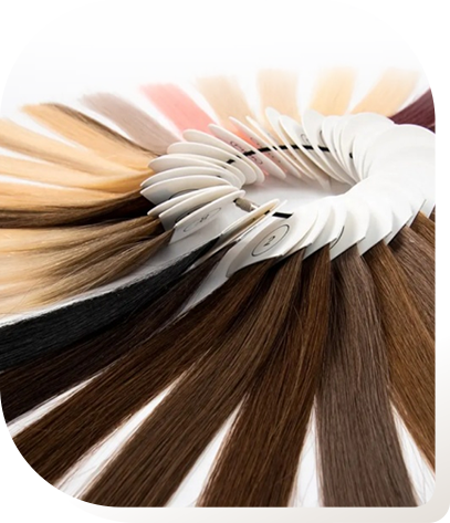 Wholesale Introduction